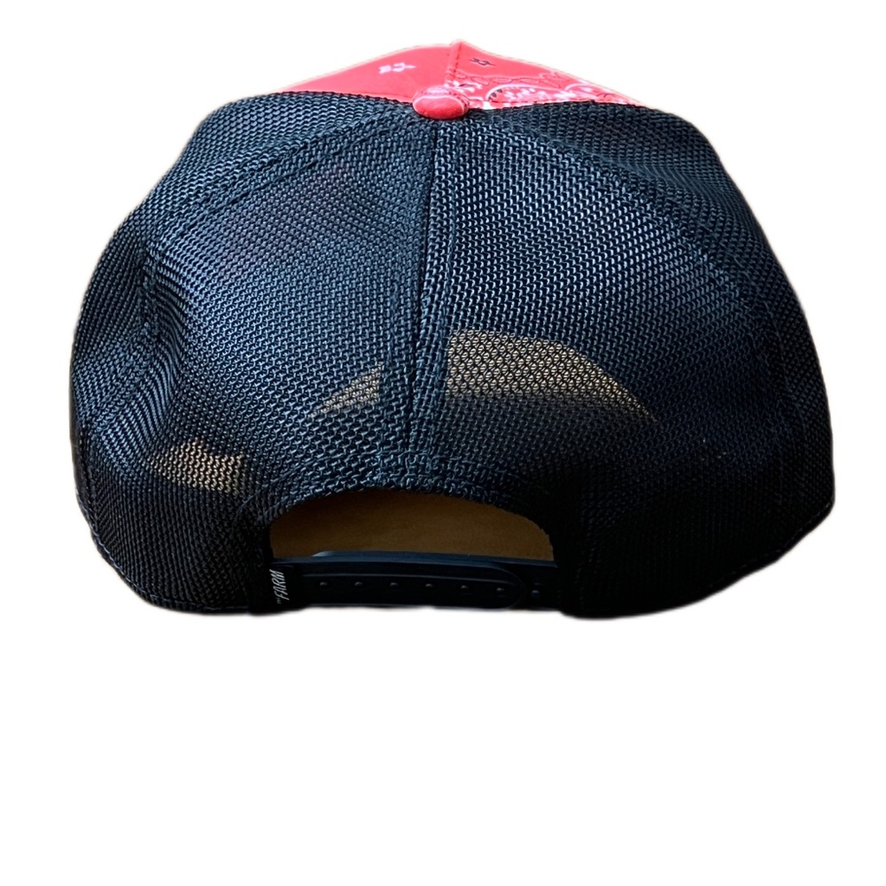 Goorin Bros Alpha Rottweiler - Picture 4 of 5